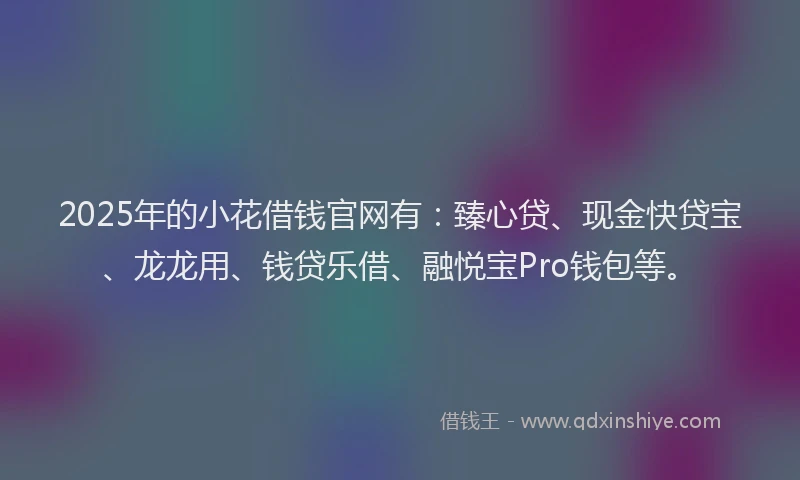 2025年的小花借钱官网有：臻心贷、现金快贷宝、龙龙用、钱贷乐借、融悦宝Pro钱包等。