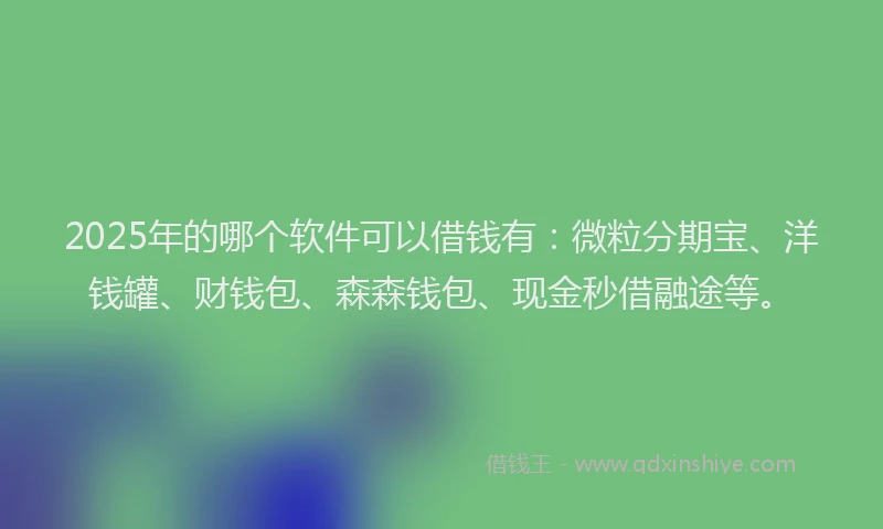 2025年的哪个软件可以借钱有：微粒分期宝、洋钱罐、财钱包、森森钱包、现金秒借融途等。