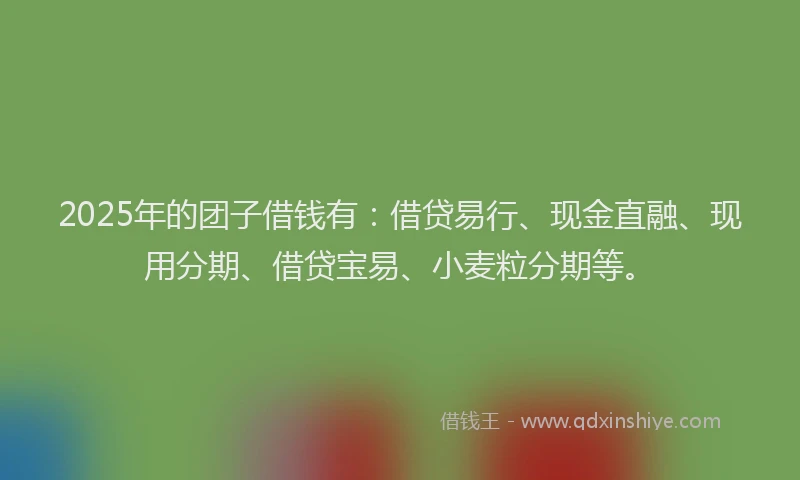2025年的团子借钱有：借贷易行、现金直融、现用分期、借贷宝易、小麦粒分期等。