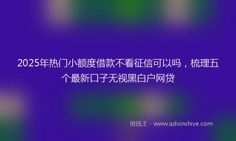 2025年热门小额度借款不看征信可以吗，梳理五个最新口子无视黑白户网贷