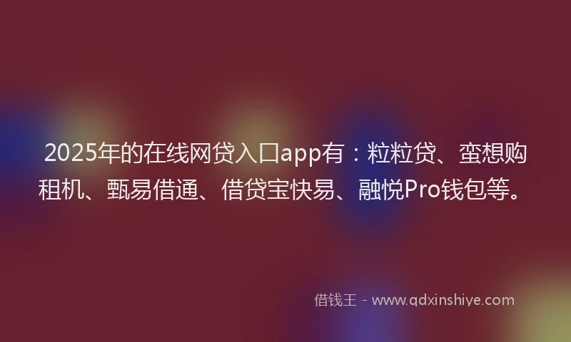 2025年的在线网贷入口app有：粒粒贷、蛮想购租机、甄易借通、借贷宝快易、融悦Pro钱包等。