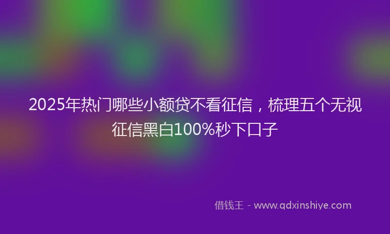 2025年热门哪些小额贷不看征信，梳理五个无视征信黑白100%秒下口子