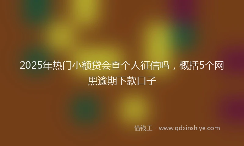 2025年热门小额贷会查个人征信吗，概括5个网黑逾期下款口子