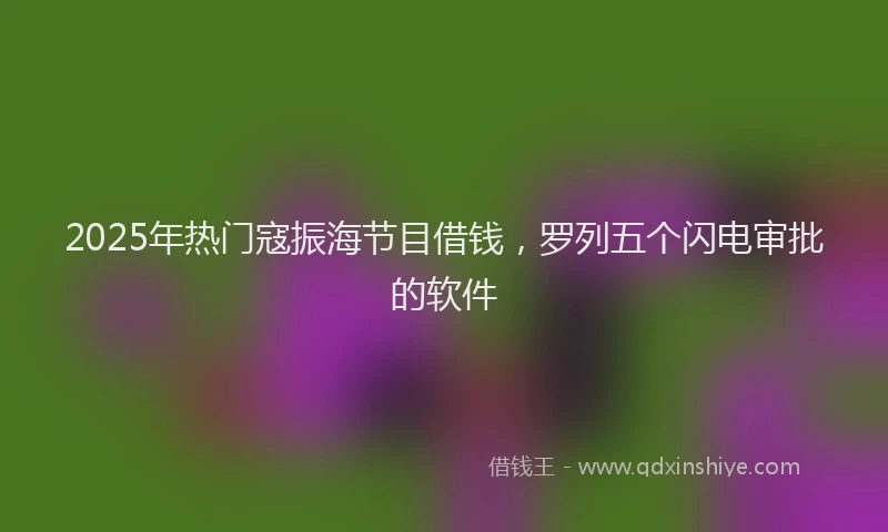 2025年热门寇振海节目借钱，罗列五个闪电审批的软件