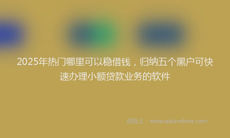 2025年热门哪里可以稳借钱，归纳五个黑户可快速办理小额贷款业务的软件