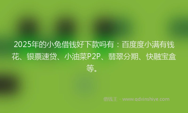 2025年的小兔借钱好下款吗有：百度度小满有钱花、银票速贷、小油菜P2P、翡翠分期、快融宝盒等。
