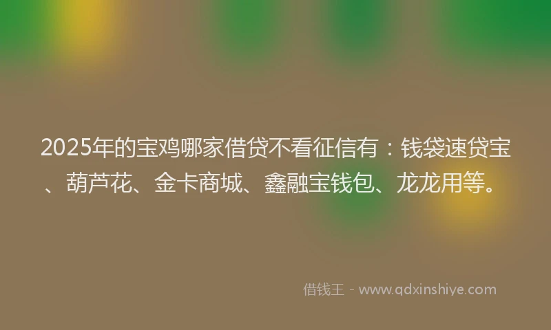 2025年的宝鸡哪家借贷不看征信有：钱袋速贷宝、葫芦花、金卡商城、鑫融宝钱包、龙龙用等。