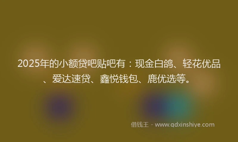 2025年的小额贷吧贴吧有：现金白鸽、轻花优品、爱达速贷、鑫悦钱包、鹿优选等。