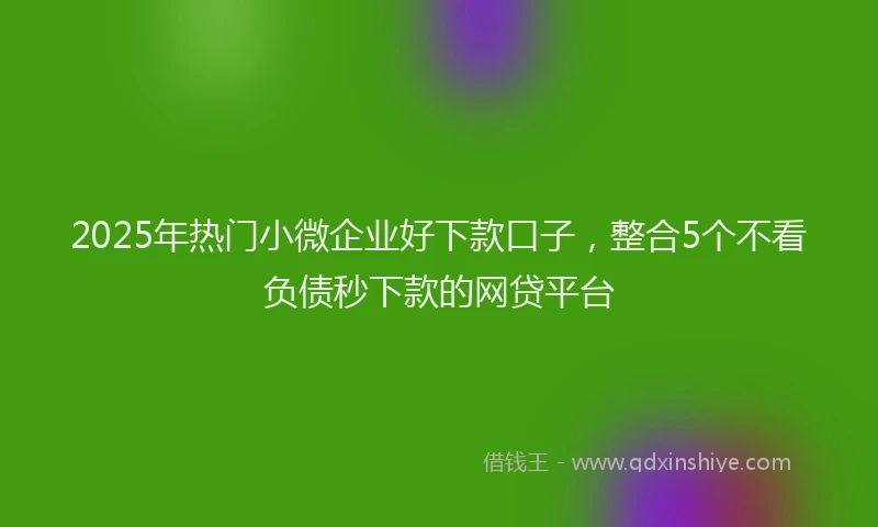 2025年热门小微企业好下款口子，整合5个不看负债秒下款的网贷平台