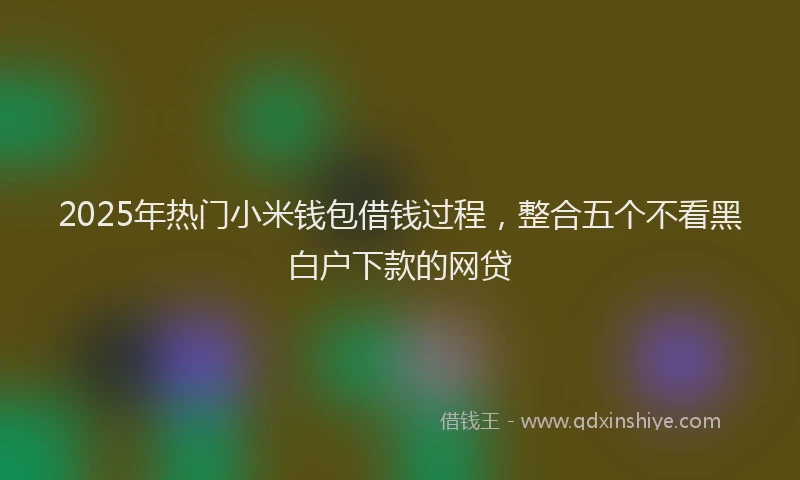 2025年热门小米钱包借钱过程，整合五个不看黑白户下款的网贷