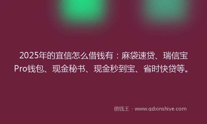 2025年的宜信怎么借钱有：麻袋速贷、瑞信宝Pro钱包、现金秘书、现金秒到宝、省时快贷等。
