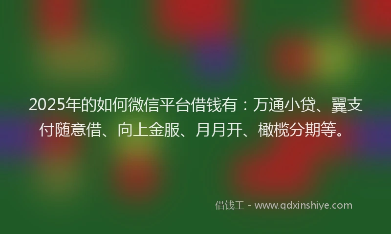 2025年的如何微信平台借钱有：万通小贷、翼支付随意借、向上金服、月月开、橄榄分期等。