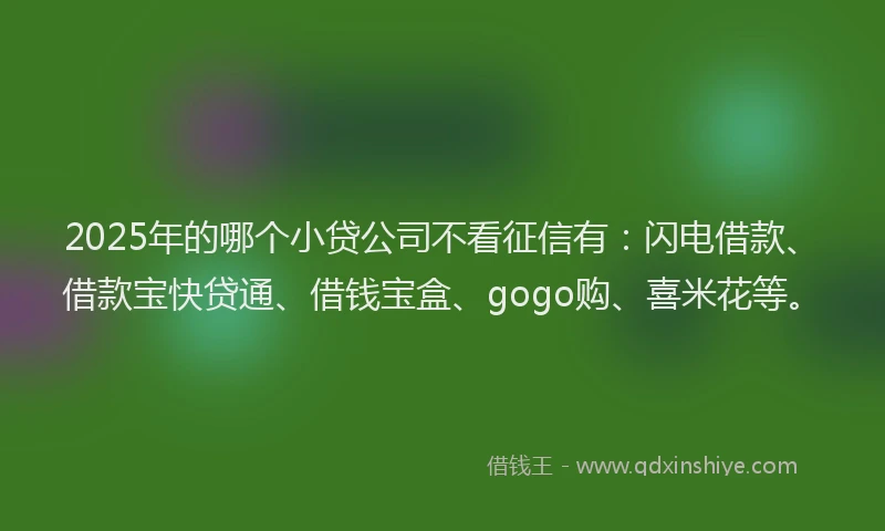 2025年的哪个小贷公司不看征信有：闪电借款、借款宝快贷通、借钱宝盒、gogo购、喜米花等。