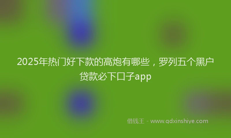 2025年热门好下款的高炮有哪些，罗列五个黑户贷款必下口子app