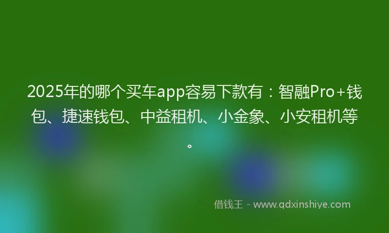 2025年的哪个买车app容易下款有：智融Pro+钱包、捷速钱包、中益租机、小金象、小安租机等。