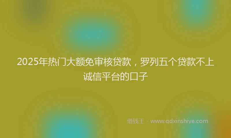 2025年热门大额免审核贷款，罗列五个贷款不上诚信平台的口子