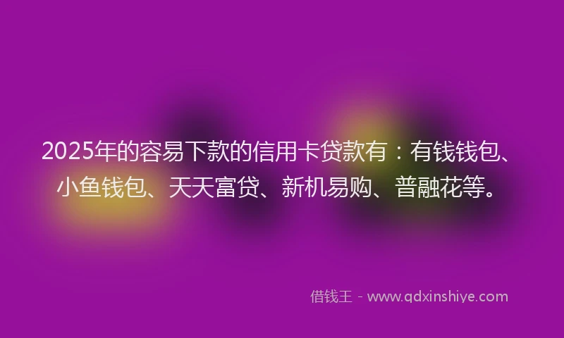 2025年的容易下款的信用卡贷款有：有钱钱包、小鱼钱包、天天富贷、新机易购、普融花等。