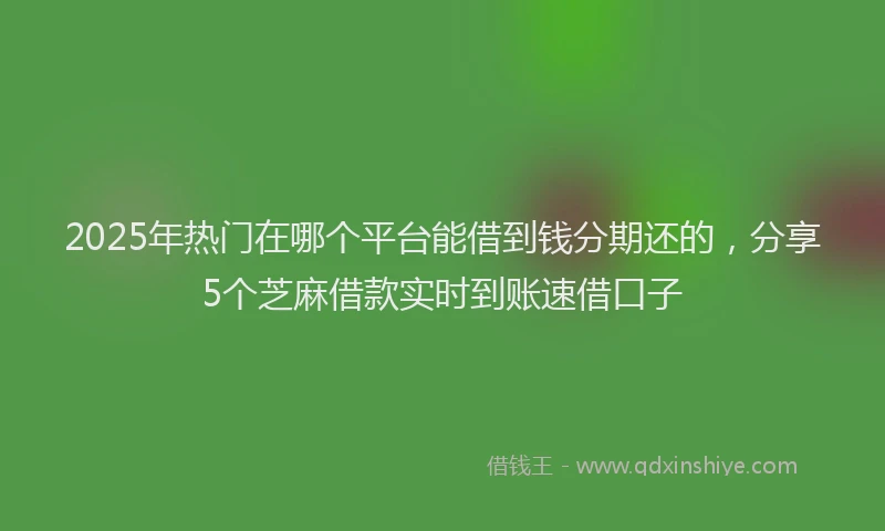 2025年热门在哪个平台能借到钱分期还的，分享5个芝麻借款实时到账速借口子
