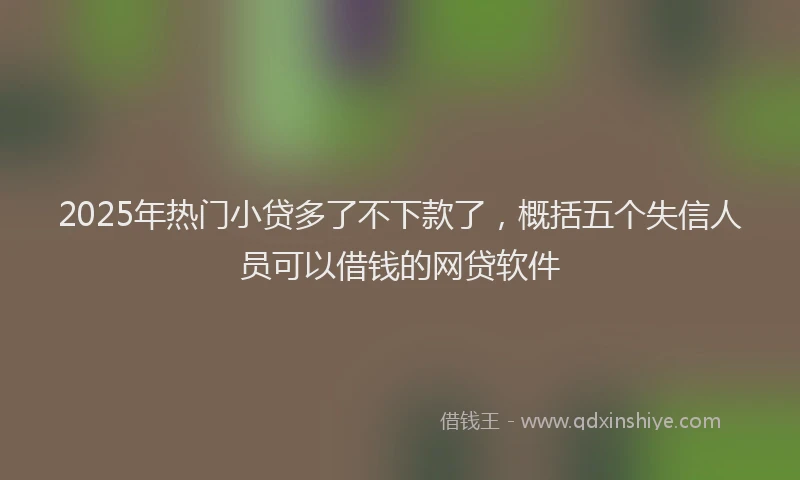 2025年热门小贷多了不下款了，概括五个失信人员可以借钱的网贷软件