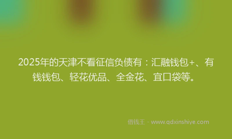 2025年的天津不看征信负债有：汇融钱包+、有钱钱包、轻花优品、全金花、宜口袋等。