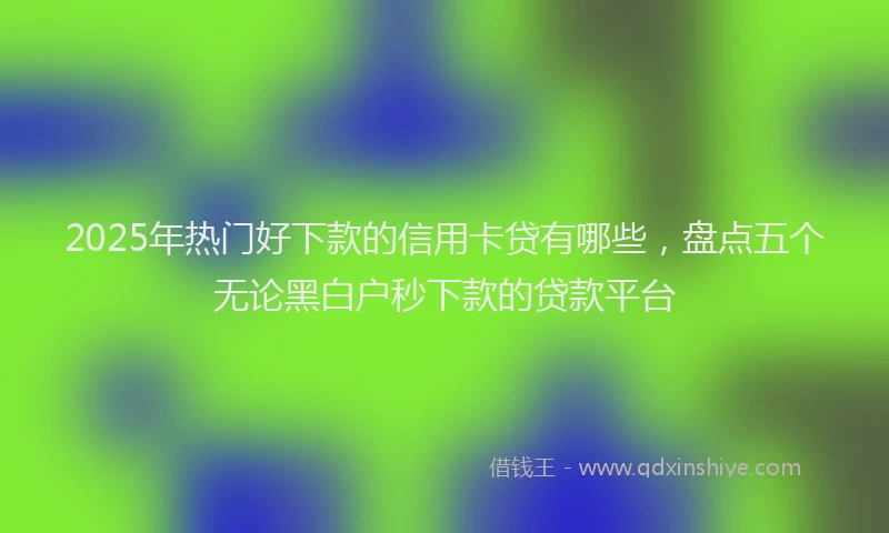 2025年热门好下款的信用卡贷有哪些，盘点五个无论黑白户秒下款的贷款平台