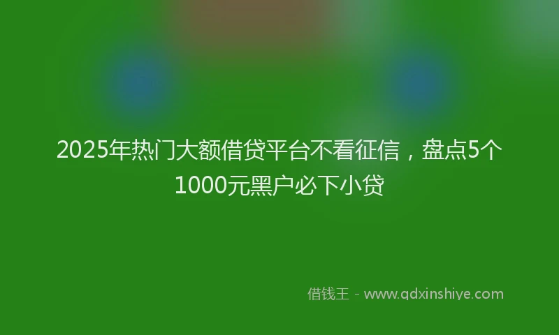 2025年热门大额借贷平台不看征信，盘点5个1000元黑户必下小贷