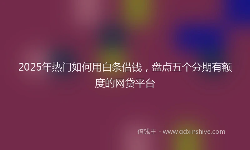 2025年热门如何用白条借钱，盘点五个分期有额度的网贷平台