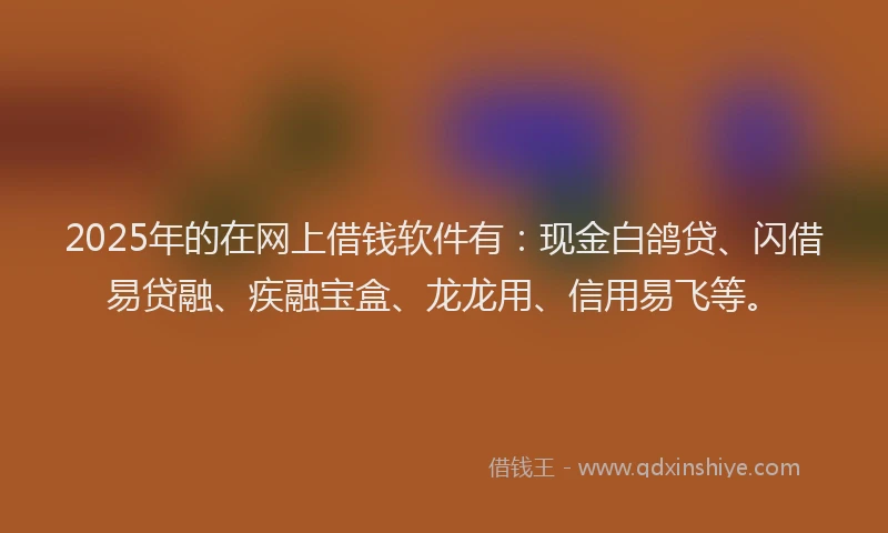 2025年的在网上借钱软件有：现金白鸽贷、闪借易贷融、疾融宝盒、龙龙用、信用易飞等。