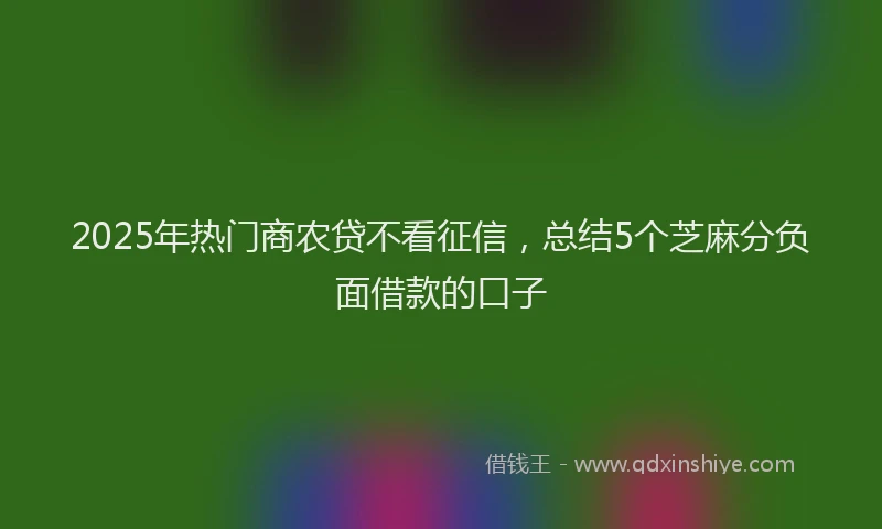 2025年热门商农贷不看征信，总结5个芝麻分负面借款的口子