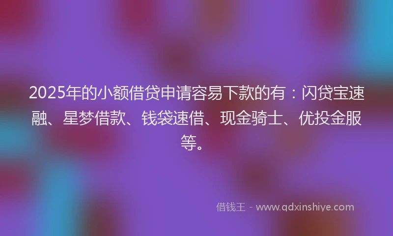 2025年的小额借贷申请容易下款的有：闪贷宝速融、星梦借款、钱袋速借、现金骑士、优投金服等。