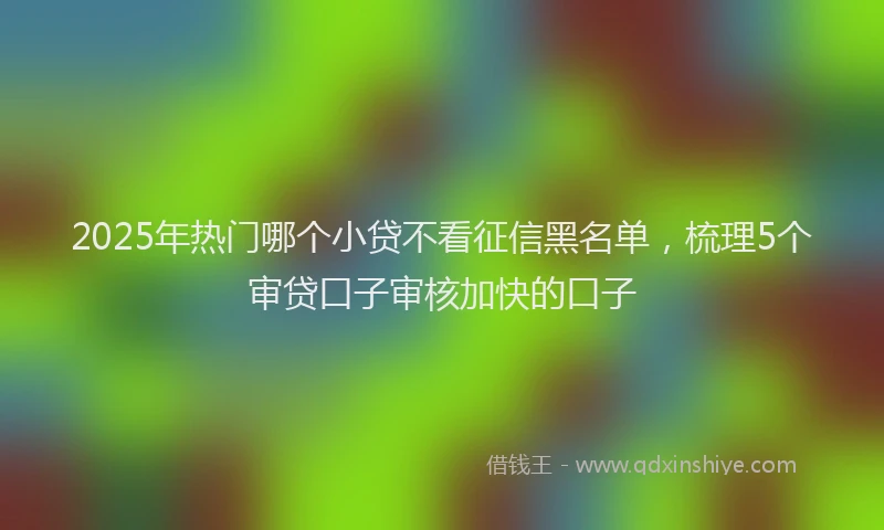 2025年热门哪个小贷不看征信黑名单，梳理5个审贷口子审核加快的口子