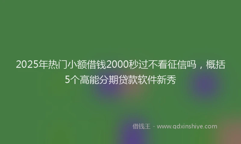 2025年热门小额借钱2000秒过不看征信吗，概括5个高能分期贷款软件新秀