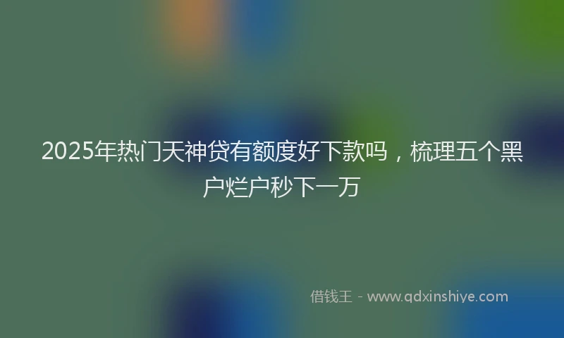 2025年热门天神贷有额度好下款吗，梳理五个黑户烂户秒下一万