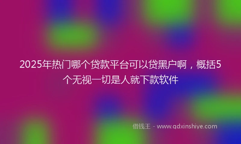 2025年热门哪个贷款平台可以贷黑户啊，概括5个无视一切是人就下款软件