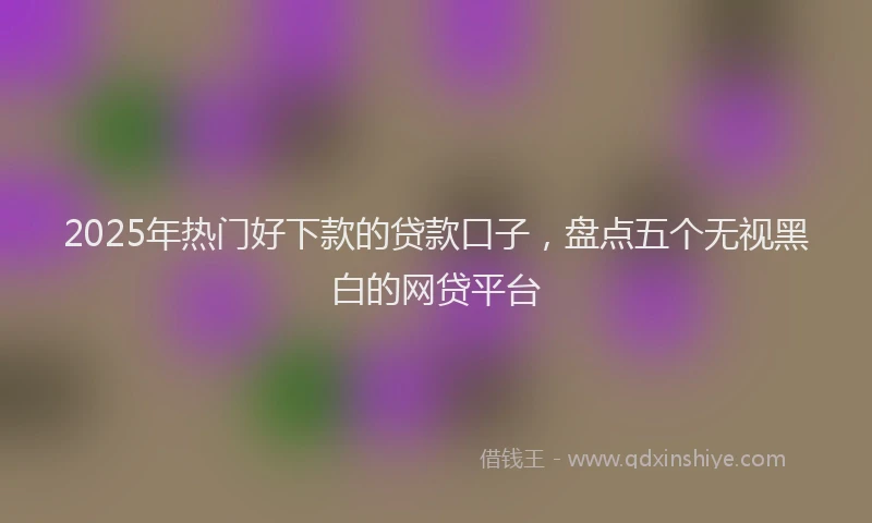 2025年热门好下款的贷款口子，盘点五个无视黑白的网贷平台