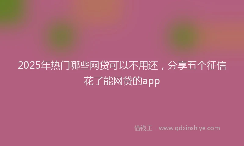 2025年热门哪些网贷可以不用还，分享五个征信花了能网贷的app