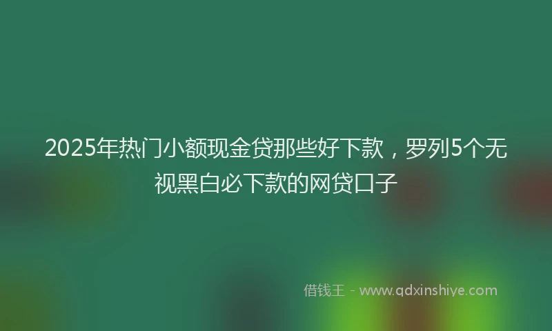 2025年热门小额现金贷那些好下款，罗列5个无视黑白必下款的网贷口子