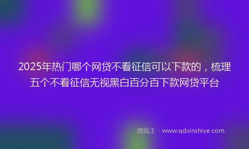 2025年热门哪个网贷不看征信可以下款的，梳理五个不看征信无视黑白百分百下款网贷平台