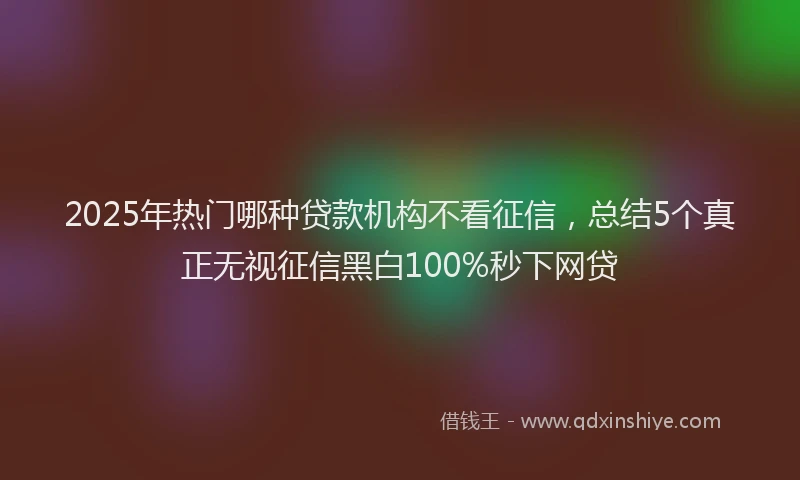 2025年热门哪种贷款机构不看征信，总结5个真正无视征信黑白100%秒下网贷