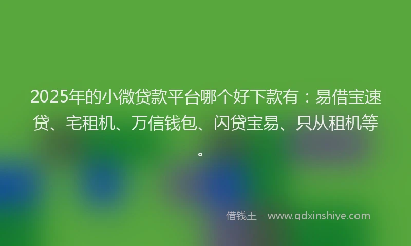 2025年的小微贷款平台哪个好下款有：易借宝速贷、宅租机、万信钱包、闪贷宝易、只从租机等。