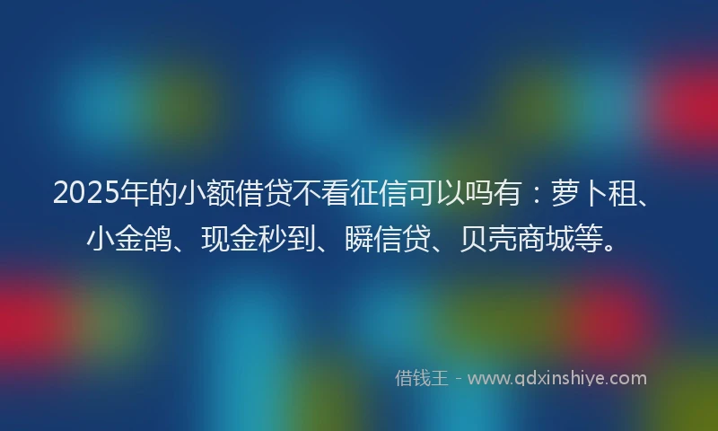 2025年的小额借贷不看征信可以吗有：萝卜租、小金鸽、现金秒到、瞬信贷、贝壳商城等。