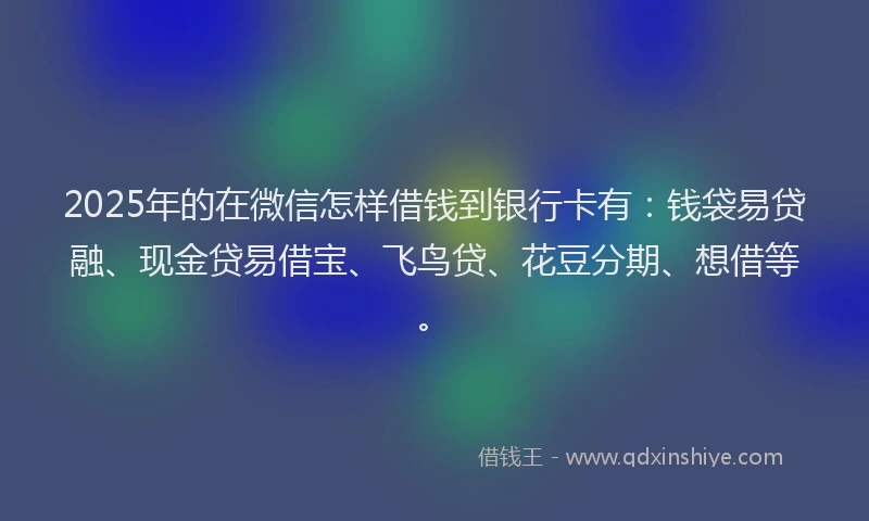 2025年的在微信怎样借钱到银行卡有：钱袋易贷融、现金贷易借宝、飞鸟贷、花豆分期、想借等。