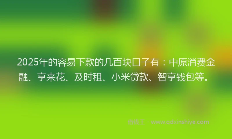2025年的容易下款的几百块口子有：中原消费金融、享来花、及时租、小米贷款、智享钱包等。