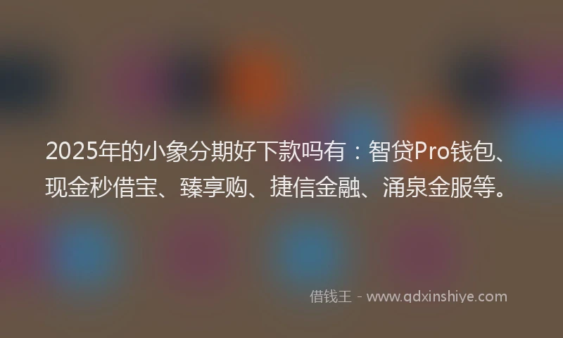 2025年的小象分期好下款吗有：智贷Pro钱包、现金秒借宝、臻享购、捷信金融、涌泉金服等。