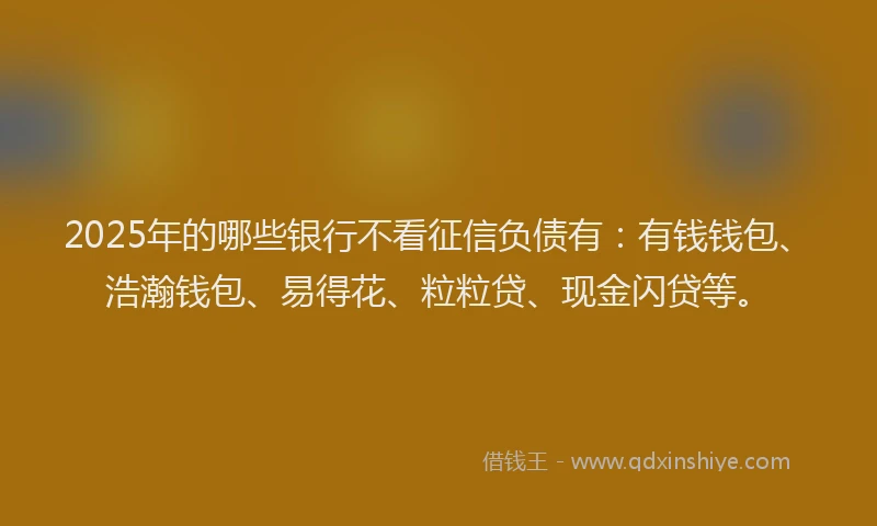 2025年的哪些银行不看征信负债有：有钱钱包、浩瀚钱包、易得花、粒粒贷、现金闪贷等。