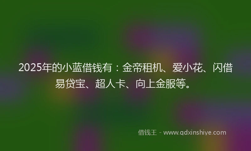 2025年的小蓝借钱有：金帝租机、爱小花、闪借易贷宝、超人卡、向上金服等。