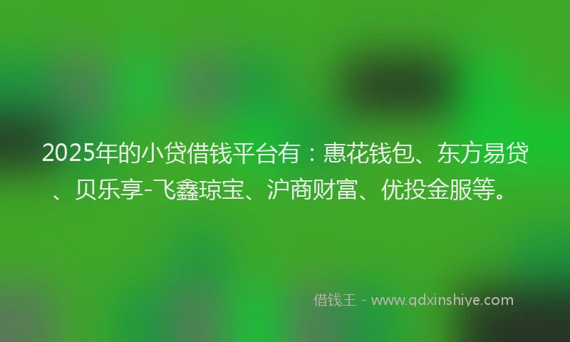 2025年的小贷借钱平台有：惠花钱包、东方易贷、贝乐享-飞鑫琼宝、沪商财富、优投金服等。