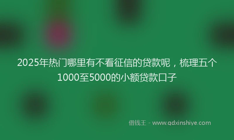 2025年热门哪里有不看征信的贷款呢，梳理五个1000至5000的小额贷款口子