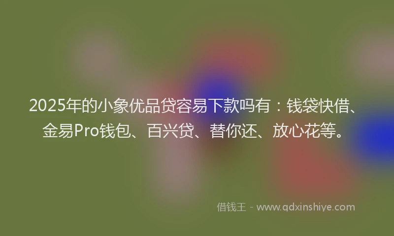 2025年的小象优品贷容易下款吗有：钱袋快借、金易Pro钱包、百兴贷、替你还、放心花等。