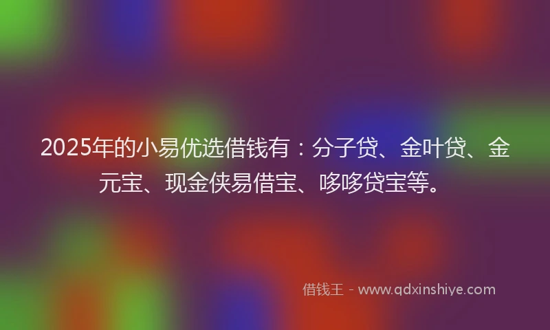 2025年的小易优选借钱有：分子贷、金叶贷、金元宝、现金侠易借宝、哆哆贷宝等。